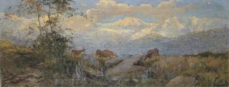 Alti pascoli